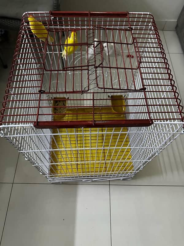 cage for sale 2