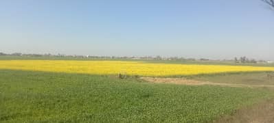 six acre land 500 feet front Pasrur road link and aimnaabad road link 40 feet road agriculture and industrial land available for sale in sialkot