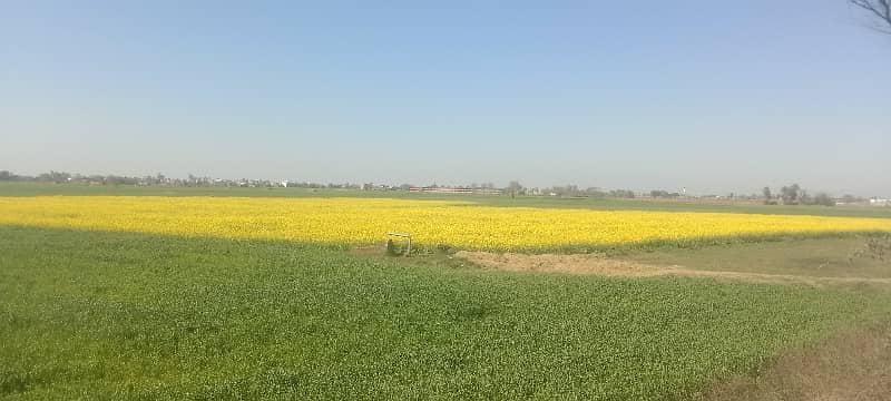 six acre land 500 feet front Pasrur road link and aimnaabad road link 40 feet road agriculture and industrial land available for sale in sialkot 0