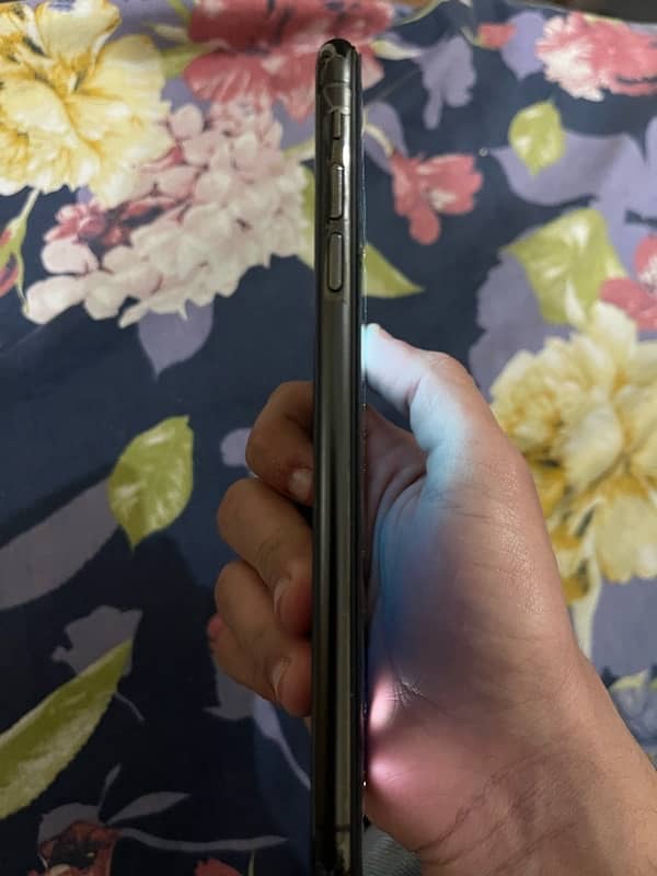 XS MAX (256gb) 2