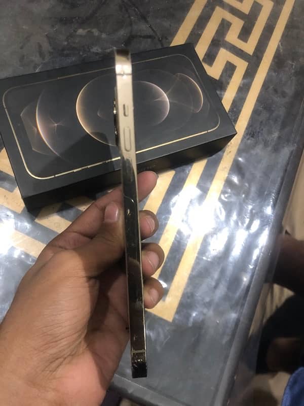 iPhone 12 Pro max duall pta reed ad 2