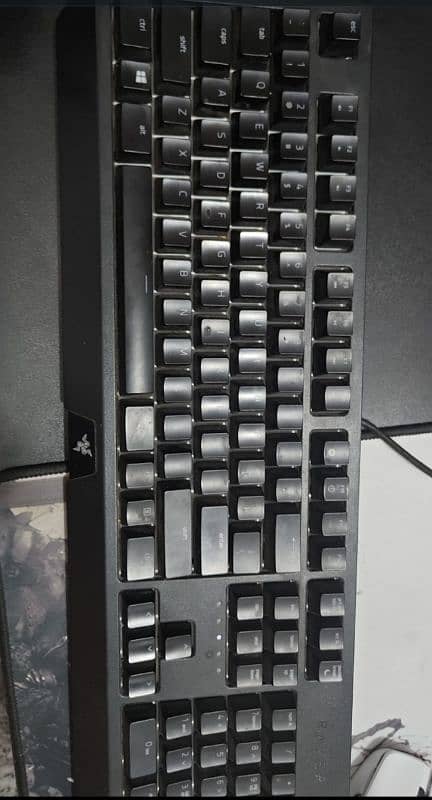 Razer Blackwidow Keyboard 0