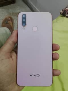 vivo