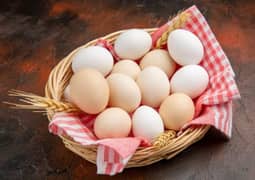 Aseel Eggs – 100% Premium  White Chicken Natural & Fresh