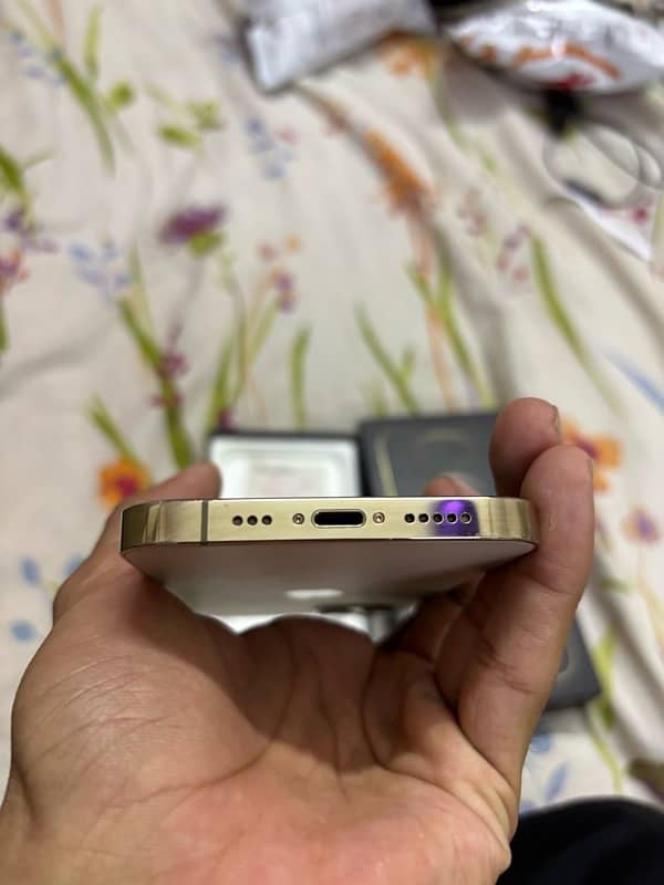 iPhone 12 Pro Gold FU 4