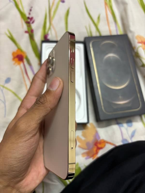 iPhone 12 Pro Gold FU 5