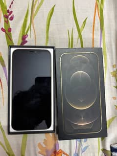 iPhone 12 Pro Gold FU