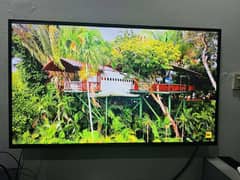 TCL 49 Inch FHD Smart LED TV (L49S6500)