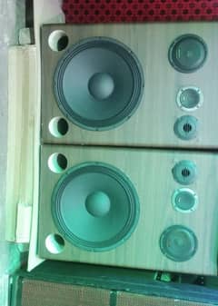 Speaker 15 inches Different price