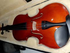 violin