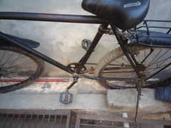 Used Bicycle