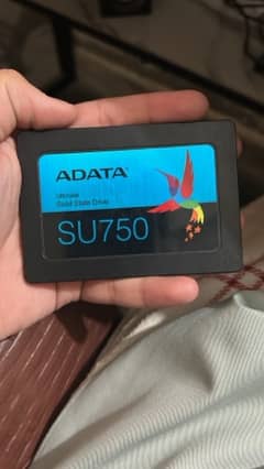 1TB SSD