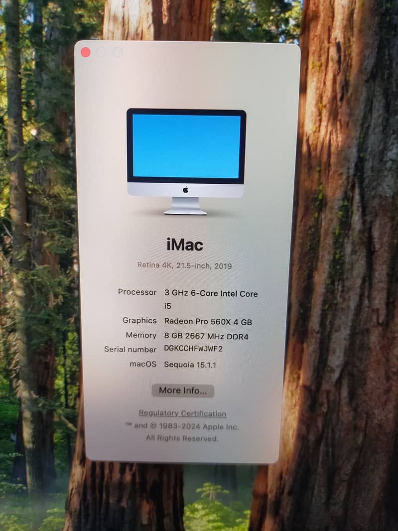 Imac 2019 10/10 condition 1