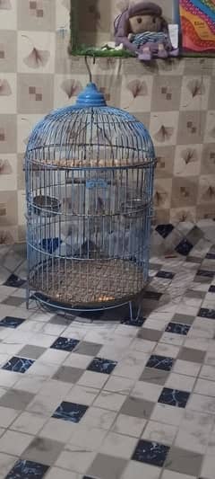 African grey cage 0.3. 1.5. 8.6. 88.5. 7.0.