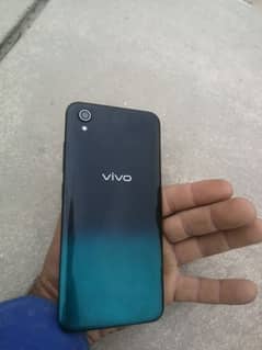 vivo