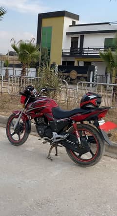 CB 150f 2019 model