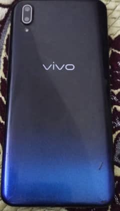 vivo