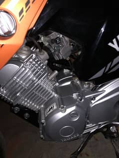 ybr125