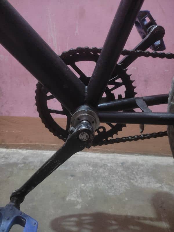 Single frame cycle complete 5