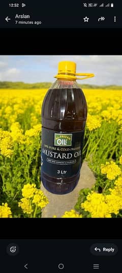 100% Pure Mustard Oil Available At Wholesale Rate