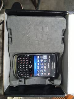 Blackberry Curve