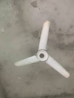 ceiling fan