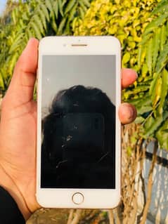 iphone 7plus non pta