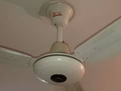 GFC Ceiling fans like new condition