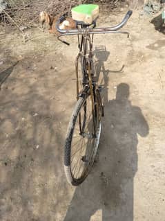 cycle for sale