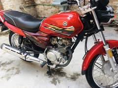 Yamaha YB 125Z 2023 WITH GOLDEN NUMBER