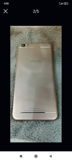 Vivo