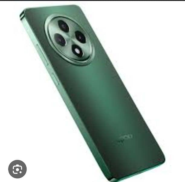 OPPO RENO 12F 5G 1