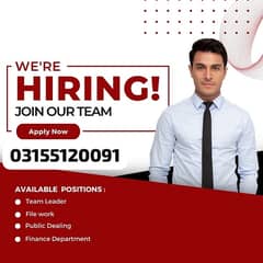 Male and Female Staff needed for Office working and Online working