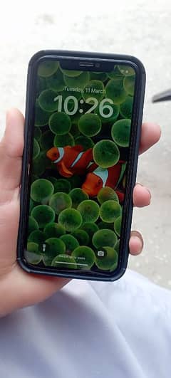 IPhone 11 10/10 90% bh condition non pta jv all ok