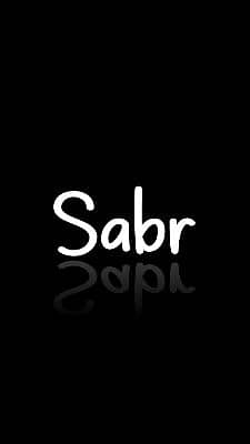 Saithe
