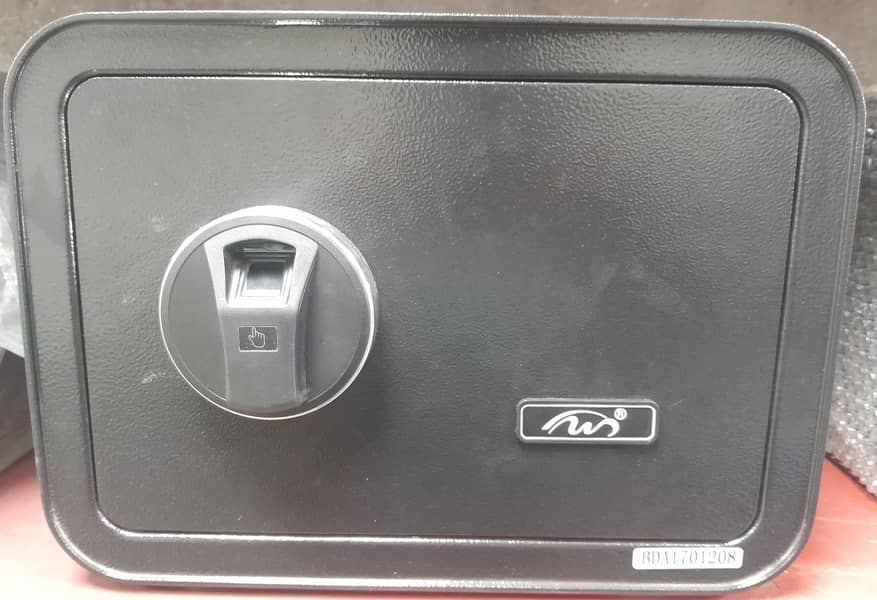 Locker & Steel Safe 17