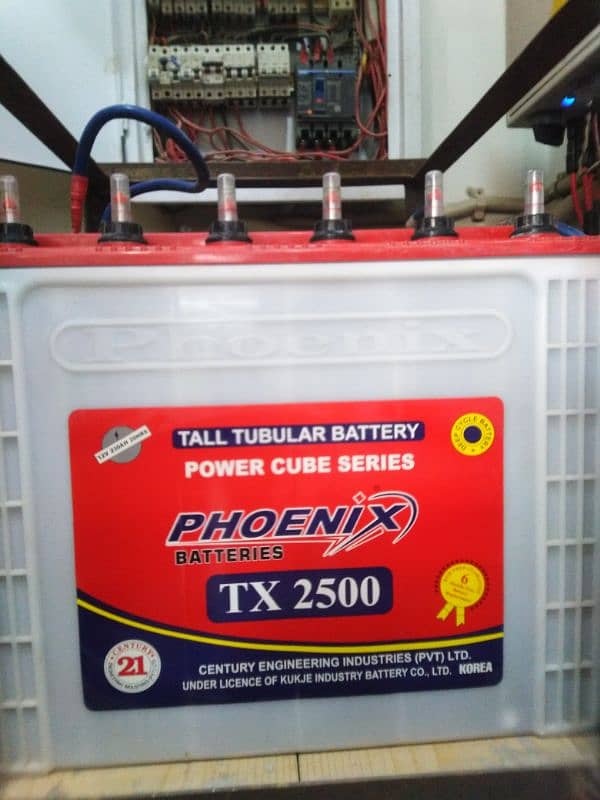 PHOENIX TX 2500 TUBULAR BATTERIES SIX MONTH USE ONLY 0