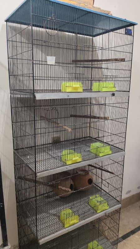 4 portion cage best for lovebirds snd cocktaile 1