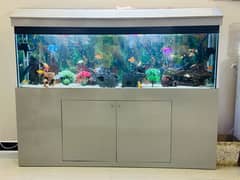 Fish Tank Service And Cleaning By Aquatic Aquarium