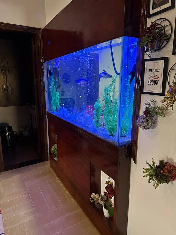 Fish Tank Service And Cleaning By Aquatic Aquarium 9