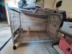 Single Portion Heavy Cage.