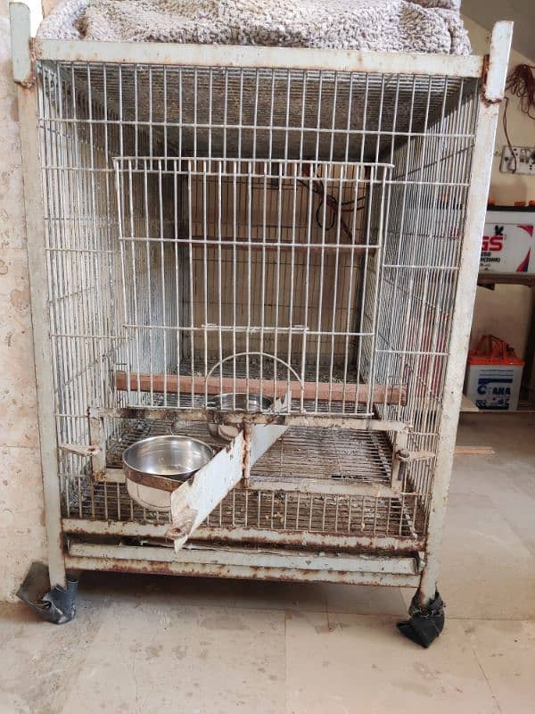 Single Portion Heavy Cage. 2