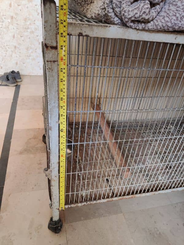 Single Portion Heavy Cage. 4