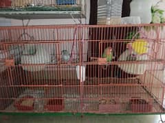 Cage (pinjra) without birds*