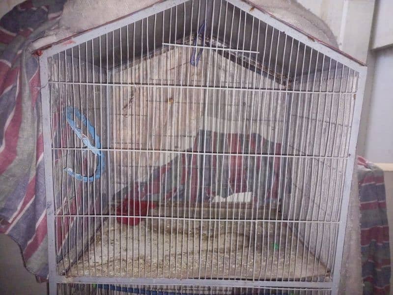 3 portion  Birds cage sale 0