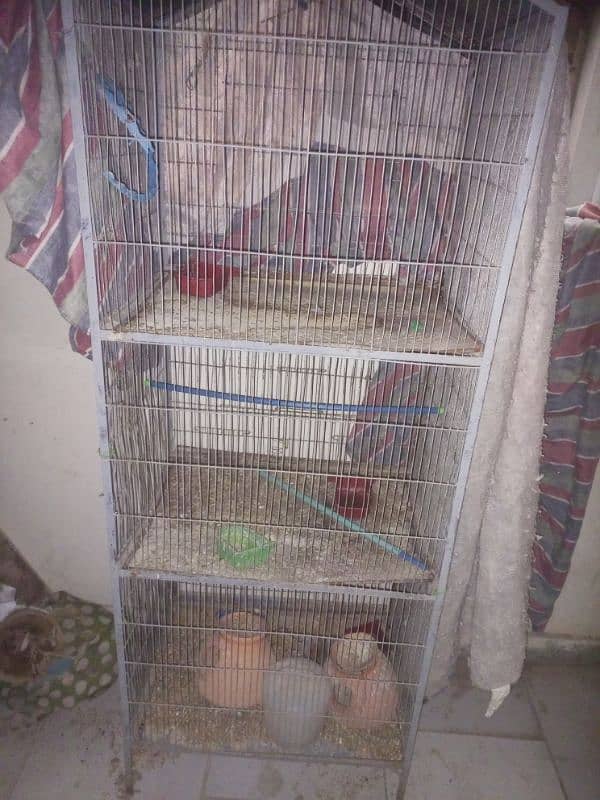 3 portion  Birds cage sale 1