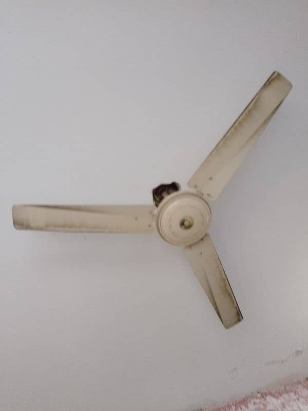 ceiling  fan 0