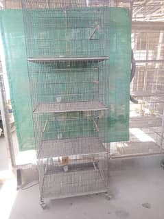 Lovebirds cages