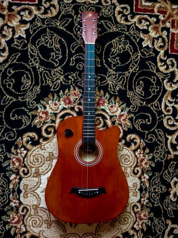 Acoustic guitar 8