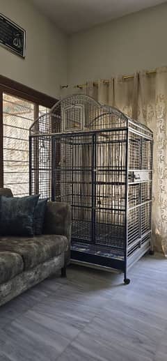 parrot cage